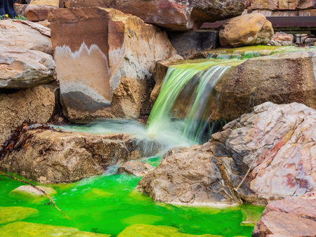 Water turning green for St Patrick's Day in Myriad Botanical Gardens at Oklahomaの写真素材