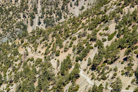 Sunny view of the landscape around Mt. Baldy Trail at Los Angeles, Californiaの写真素材