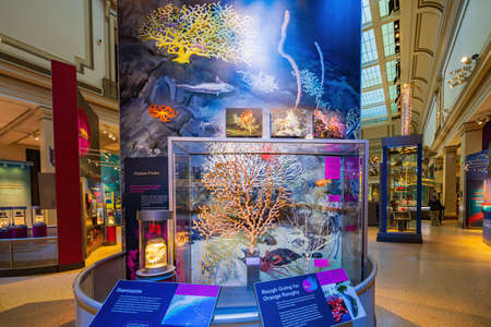 Washington DC, MAR 31 2022 - Interior view of the Smithsonian National Museum of Natural Historyのeditorial素材