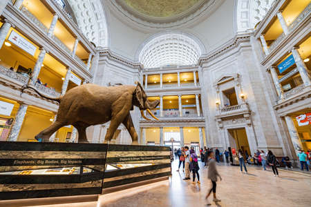 Washington DC, MAR 31 2022 - Interior view of the Smithsonian National Museum of Natural Historyのeditorial素材