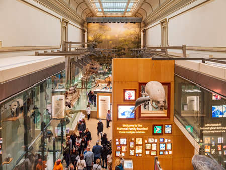 Washington DC, MAR 31 2022 - Interior view of the Smithsonian National Museum of Natural Historyのeditorial素材