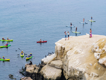 San Diego, AUG 2 2014 - Close up shot of many Cape cormorant and kayak near the famous La Jolla Coveのeditorial素材