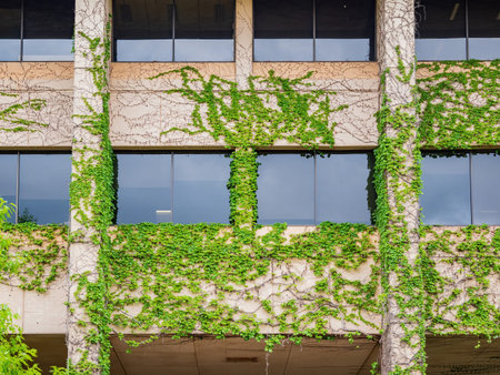 Overcast view of the HSC of University of Oklahoma at downtown areaの写真素材