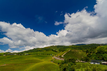 Sunny view of the landscape of Sixty Stone Mountain at Hualien, Taiwan