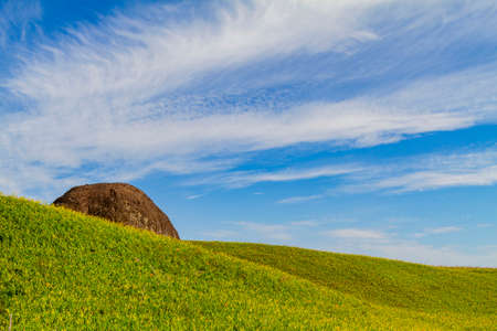 Morning view of the orange daylilies and landscape at Hualien, Taiwanの写真素材