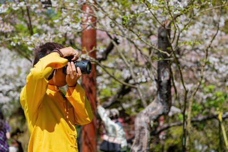 Chiayi, MAR 17, 2012 - People taking picture of the cherry blossom in Alishan National Forest Recreation Areaのeditorial素材