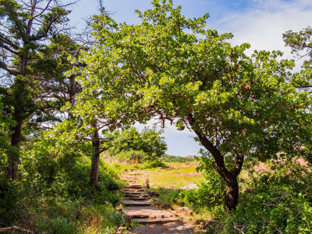 Sunny view of the landscape around Wichita Mountains Wildlife Refuge at Oklahomaの写真素材