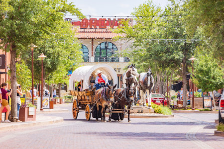 Texas, JUN 18 2022 - Sunny view of the Horse Wagon walkingのeditorial素材