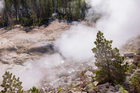 Beautiful landsacpe around Turbulent Pool, Sulphu Caldron at Wyoming