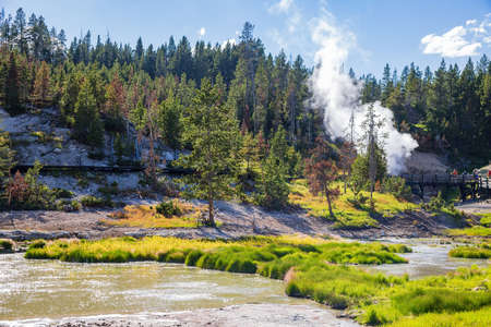 Sunny view of the landscape around Mud Volcano in Yellowstone National Park at Wyomingの写真素材