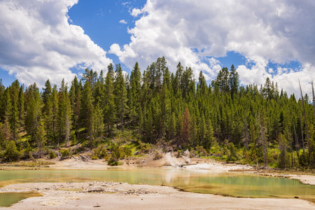 Sunny view of the landscape around Norris Geyser Basin in Yellowstone National Park at Wyoming