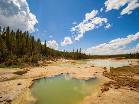 Sunny view of the landscape around Norris Geyser Basin in Yellowstone National Park at Wyomingの写真素材