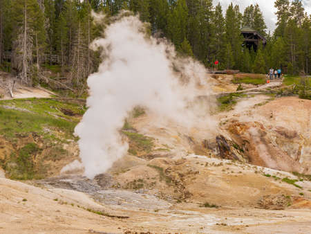 Sunny view of the landscape around Norris Geyser Basin in Yellowstone National Park at Wyomingの写真素材