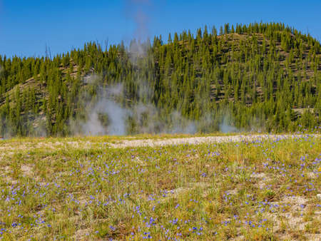 Beautiful landscape around Excelsior Geyser Crater at Wyomingの写真素材