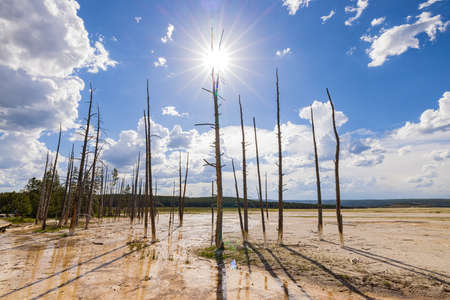 Sunny view of the landscape of Fountain Paint Pots at Wyomingの写真素材