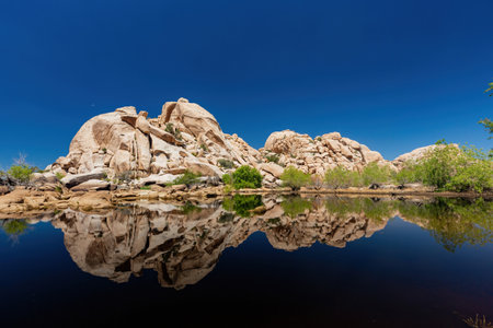 Landscape in Joshua Tree National Park at California, USAの写真素材