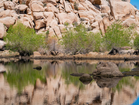 Landscape in Joshua Tree National Park at California, USAの写真素材