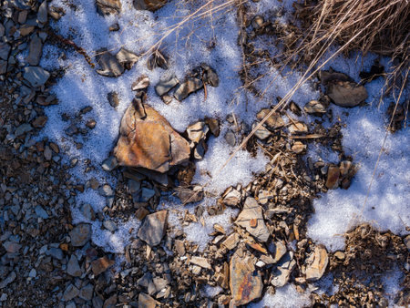 Close up shot of a snow ground at Taiwanの写真素材