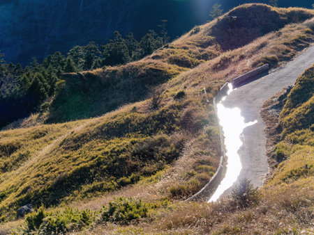 Sunny view of the landscape of Hehuanshan at Taiwanの写真素材