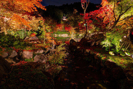 Night fall landscape in the Zenrin-ji Temple at Kyoto, Japanの写真素材