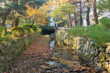 Sunny autumn landsacpe at Arashiyama, Kyoto, Japan