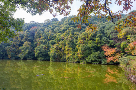 Overcast autumn landsacpe at Arashiyama, Kyoto, Japanの写真素材