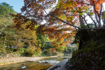 Daytime view of the fall color around Takano River at Kyoto, Japanの写真素材