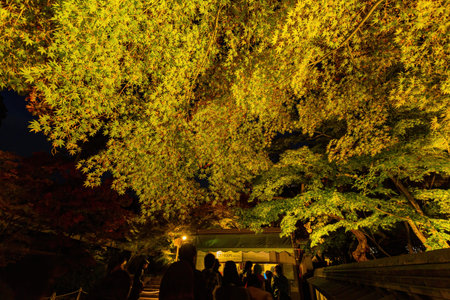 Kyoto, NOV 15 2013 - Night fall landscape in the Zenrin-ji Temple