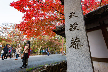 Kyoto, NOV 15 2013 - Beautiful fall color near the Tenju-an Temple