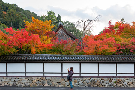 Kyoto, NOV 15 2013 - Beautiful fall color near the Tenju-an Templeのeditorial素材