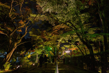 Kyoto, NOV 15 2013 - Night fall landscape in the Zenrin-ji Templeのeditorial素材