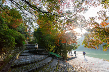 Kyoto, NOV 16 2013 - Sunny view of the fall color around Katsura River at Arashiyamaのeditorial素材