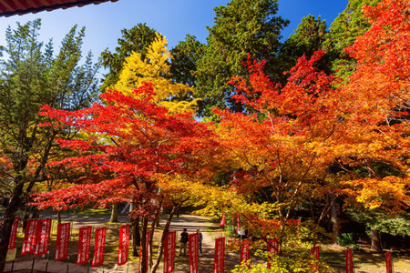 Kyoto, NOV 18 2013 - Sunny view of the beautiful fall color of Daigoji Templeのeditorial素材