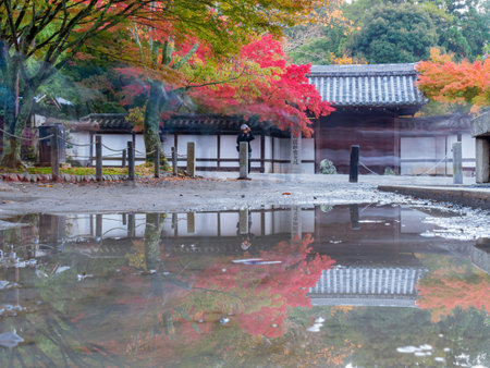 Kyoto, NOV 15 2013 - Beautiful fall color near the Tenju-an Temple