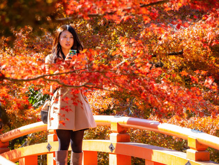 Kyoto, NOV 18 2013 - Sunny view of the beautiful fall color of a woman standing on the red bridge in...