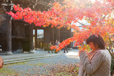 Kyoto, NOV 16 2013 - Sunny autumn landsacpe at Seiryo-ji Temple, Arashiyamaのeditorial素材