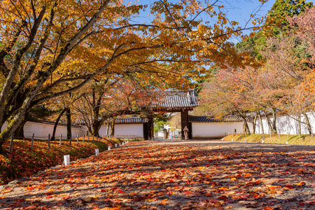 Kyoto, NOV 18 2013 - Sunny view of the beautiful fall color of Somon in Daigoji Templeのeditorial素材