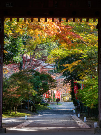 Kyoto, NOV 18 2013 - Sunny view of the beautiful fall color of Daigoji Templeのeditorial素材