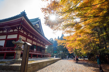 Kyoto, NOV 17 2013 - Sunny autumn landsacpe at Mount Hieiのeditorial素材