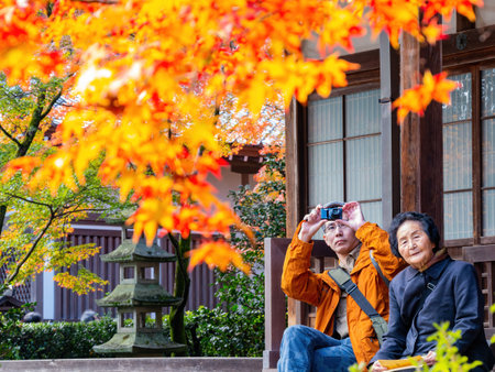 Kyoto, NOV 16 2013 - Beautiful fall color in the Jojakko-ji Templeのeditorial素材