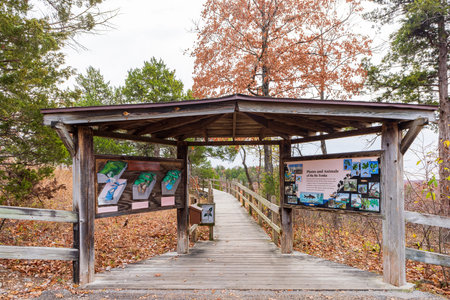 Missouri, OCT 29 2022 - Overcast view of the Dell Rim trailheadのeditorial素材