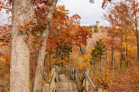 Overcast view of the fall color of Ha Ha Tonka State Park at Missouriの写真素材