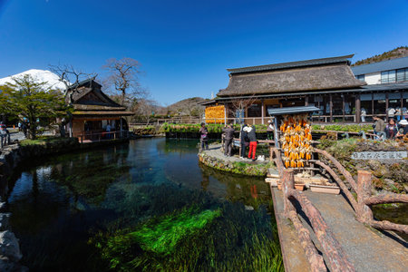 Tokyo, APR 4 2013 - Sunny view of beautiful landscape around Oshino Hakkai areaのeditorial素材