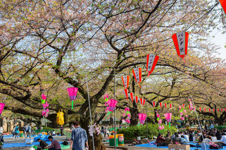 Tokyo, APR 5 2013 - Many people enjoying the cherry blossom in Ueno Parkのeditorial素材