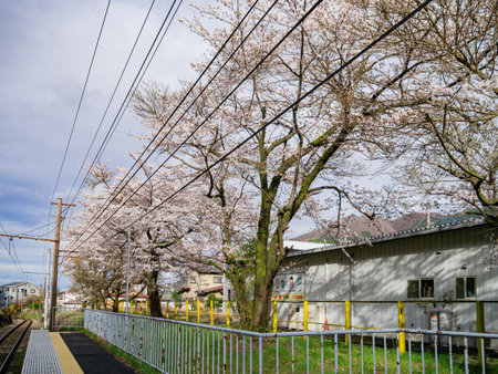 Tokyo, APR 3 2013 - Overcast view of some rural landscape and cityscapeのeditorial素材