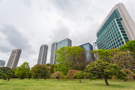 Tokyo, APR 6 2013 - Beautiful cityscape saw from Hamarikyu Gardensのeditorial素材