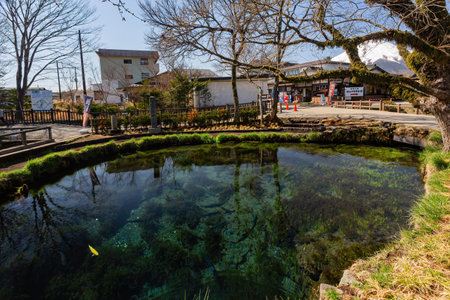 Tokyo, APR 4 2013 - Sunny view of beautiful landscape around Oshino Hakkai areaのeditorial素材