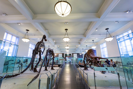New York, SEP 13 2014 - Dinosaur fossil display in the American Museum of Natural Historyのeditorial素材