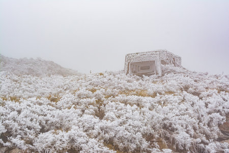 Snowy landscape of the Hehuanshan mountain at Taiwan