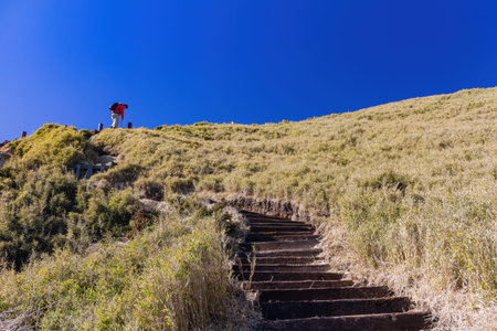 Sunny landscape of the Hehuanshan mountain at Taiwan